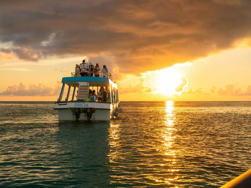 Sunset Cruises in Japan: Tours & Activities 2026 | VELTRA