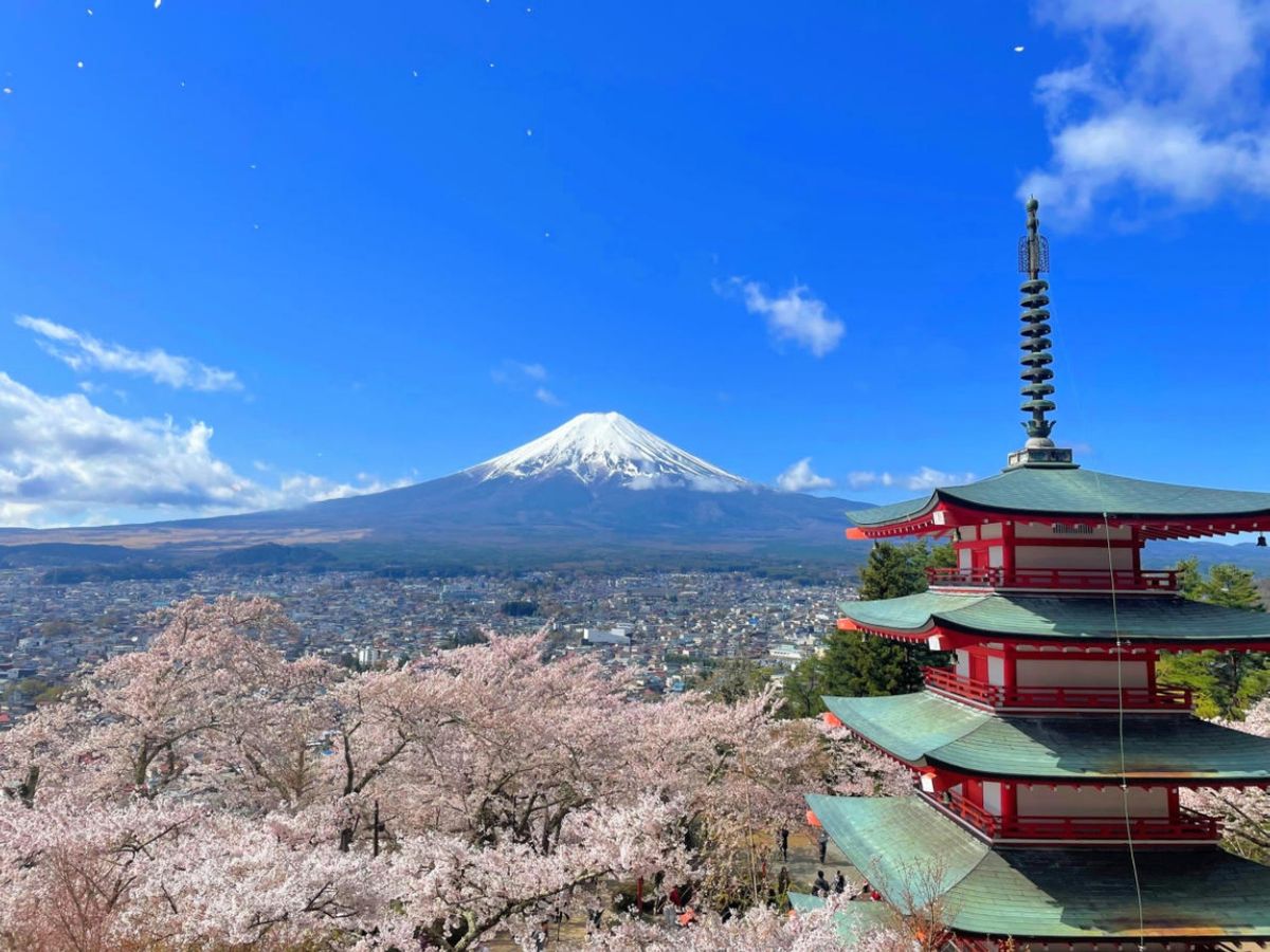 Mt. Fuji Tour from Tokyo with Lake Kawaguchi Cruise | VELTRA