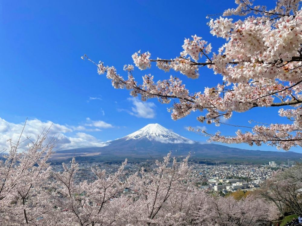Mt. Fuji Tour from Tokyo with Lake Kawaguchi Cruise | VELTRA