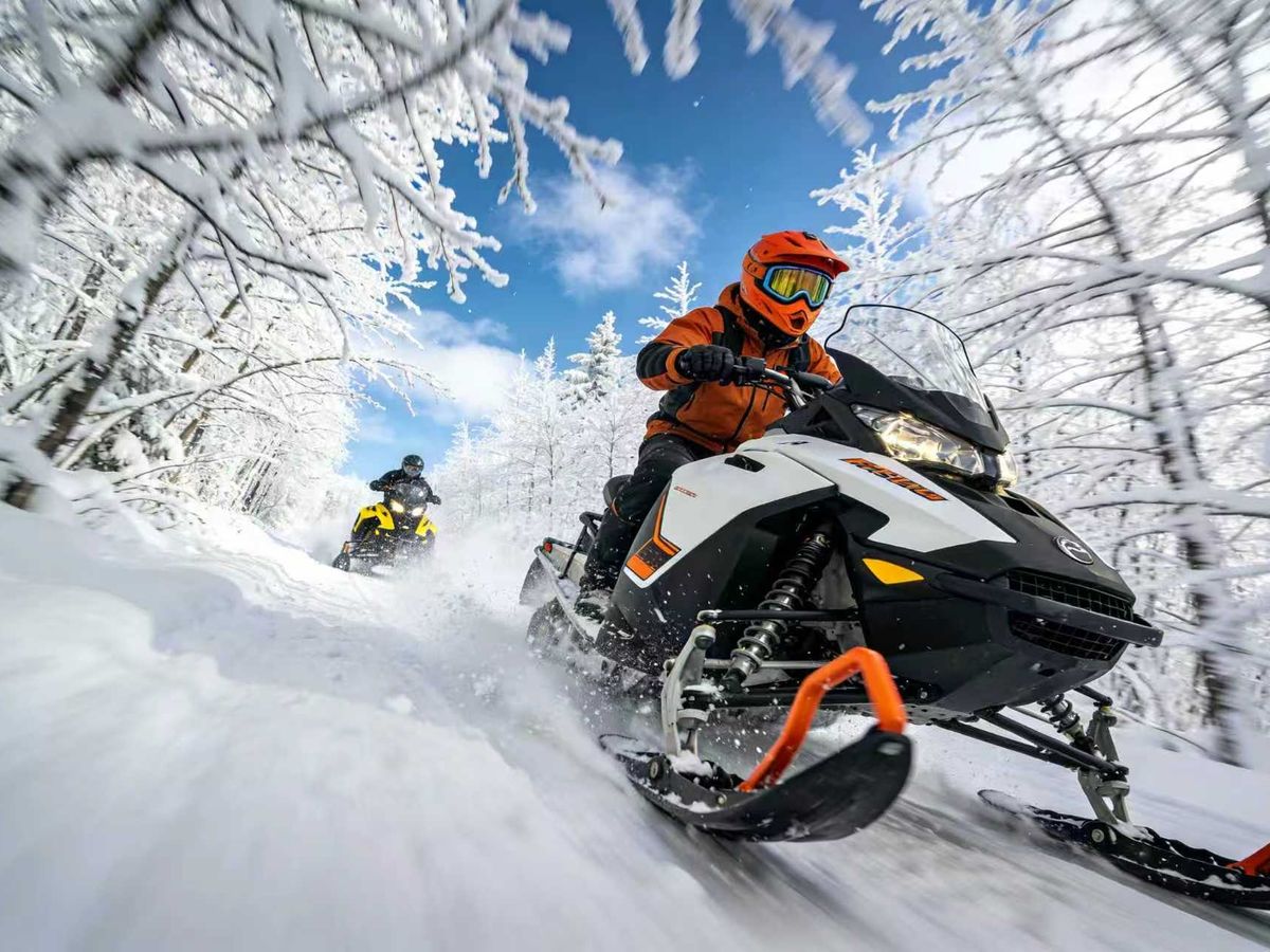 雪さん専用 From Sapporo Winter Hokkaido: Snowmobile, Lake Toya | VELTRA